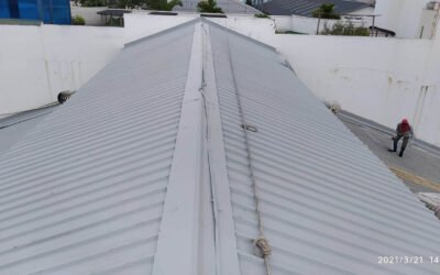 Why Metal Roofing is the Future: Choosing the Best Contractors in Singapore